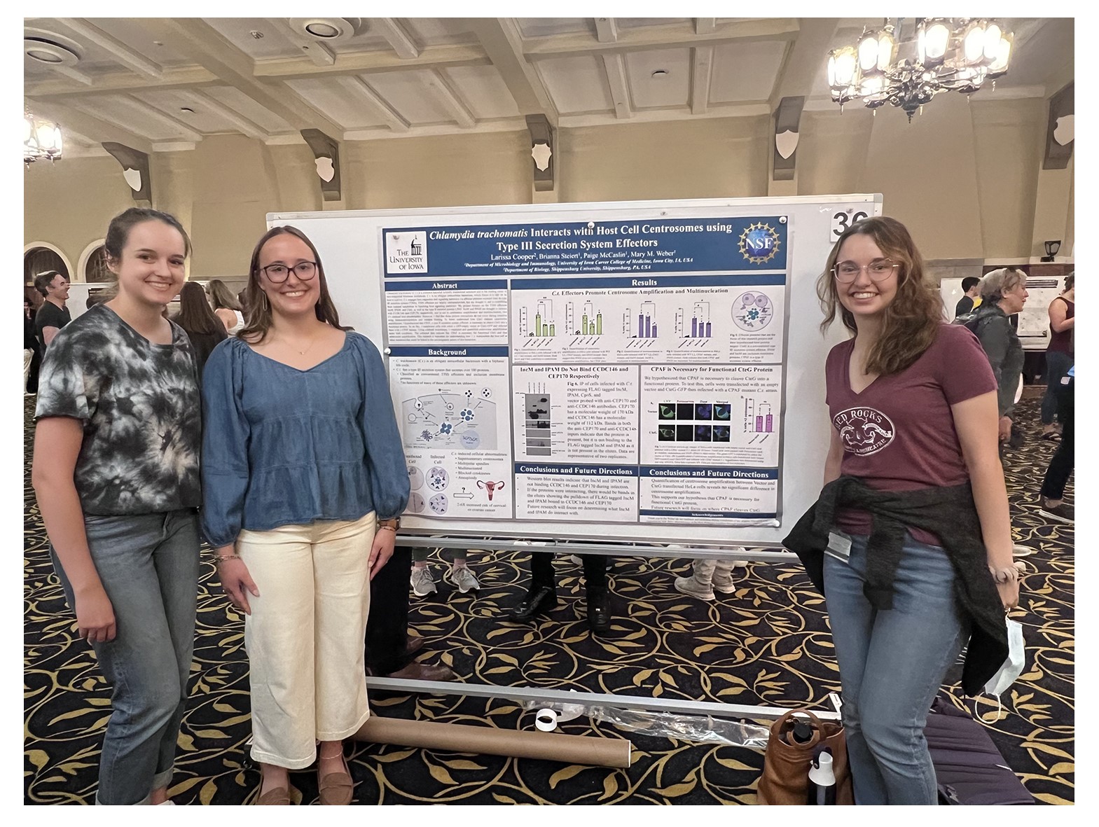 Depicts Larissa standing next to her poster at the 2024 undergraduate research conference here at the University of Iowa. She is flanked by Paige and Bri.