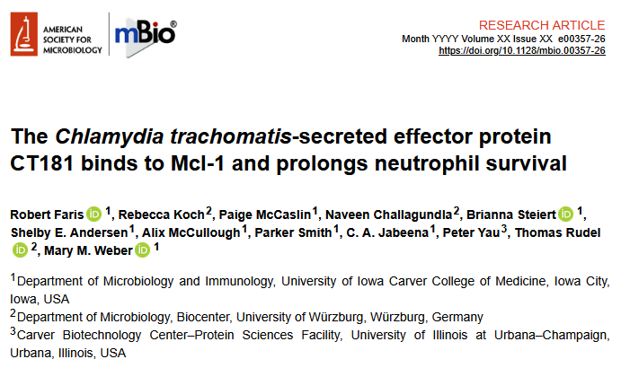 Screenshot of the title of Robert Faris's paper: The Chlamydia trachomatis-secreted effector protein CT181 binds to Mcl-1 and prolongs neutrophil survival.