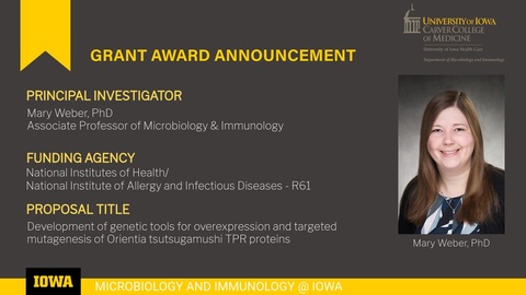 Award announcement stating that Mary Weber has received a three year R61 grant from the NIH. 