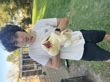 Image of undergraduate student, Tyler Toerne, holding a chicken.
